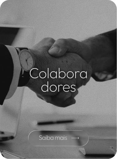 Colaboradores