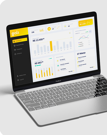 Dashboard GALI em notebook